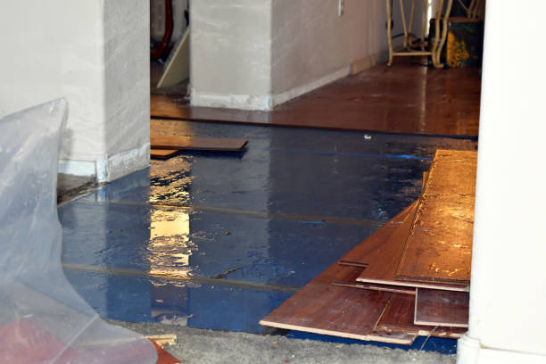 Professional Flood Damage Repair technician working in Bath, MI